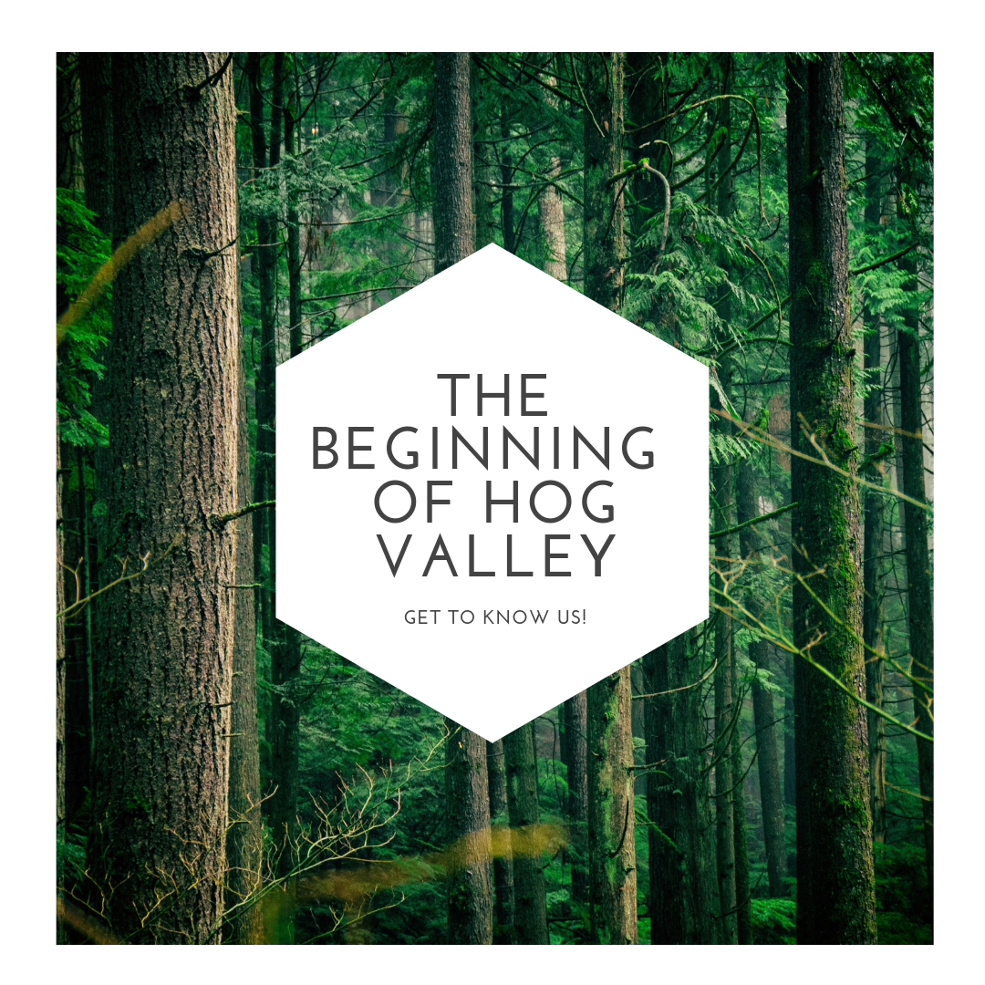The Beginning of Hog Valley hogvalleyrv